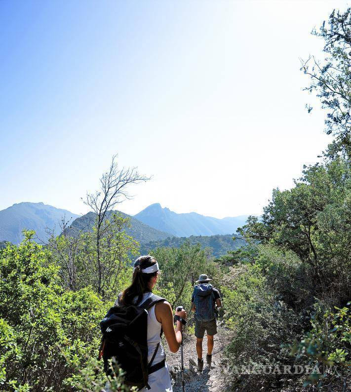 Camina seguro: la guía de senderismo en Saltillo que debes conocer