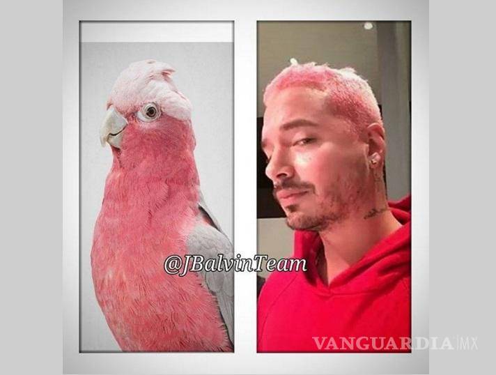 $!J Balvin contesta a críticas por su cabello rosa
