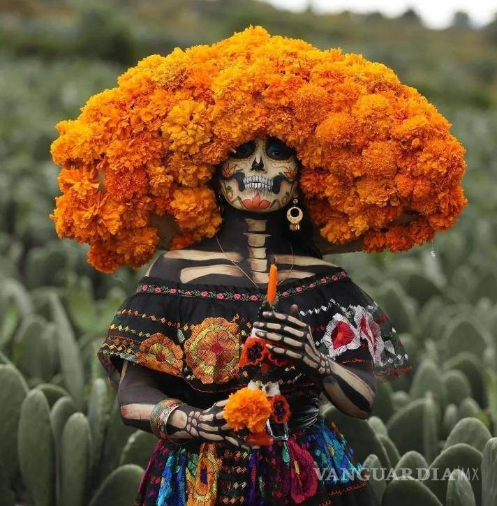 $!En instagram como mx.tochtli aparece la cuenta creadora de la foto.