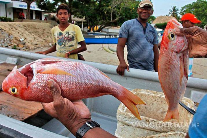 $!Garantizan amplia oferta de pescados y mariscos de producción nacional disponibles durante cuaresma