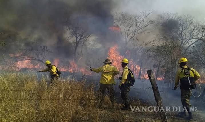$!Detenidos 3 posibles responsables de incendio del Amazonas en Brasil