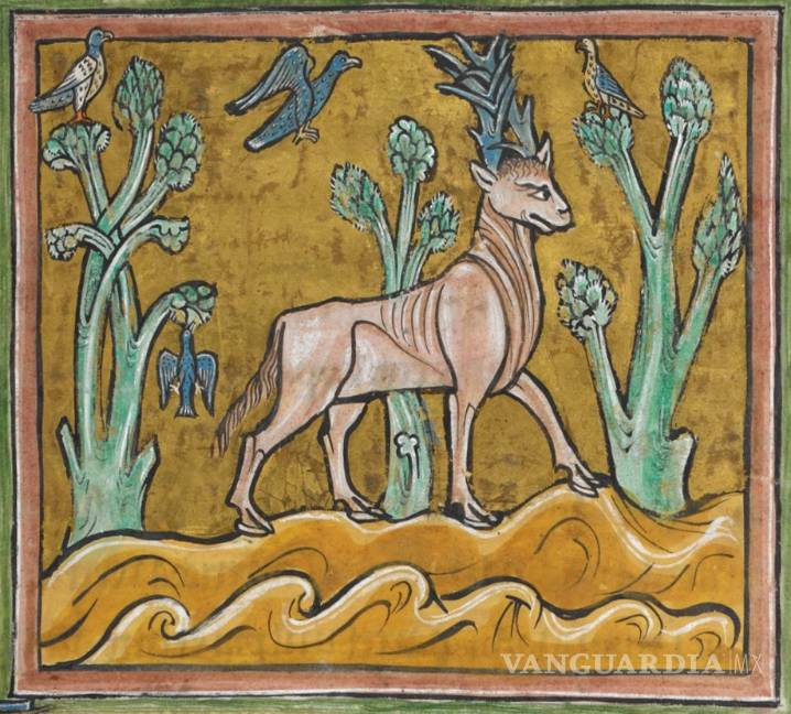 $!Bestiarios del Medioevo