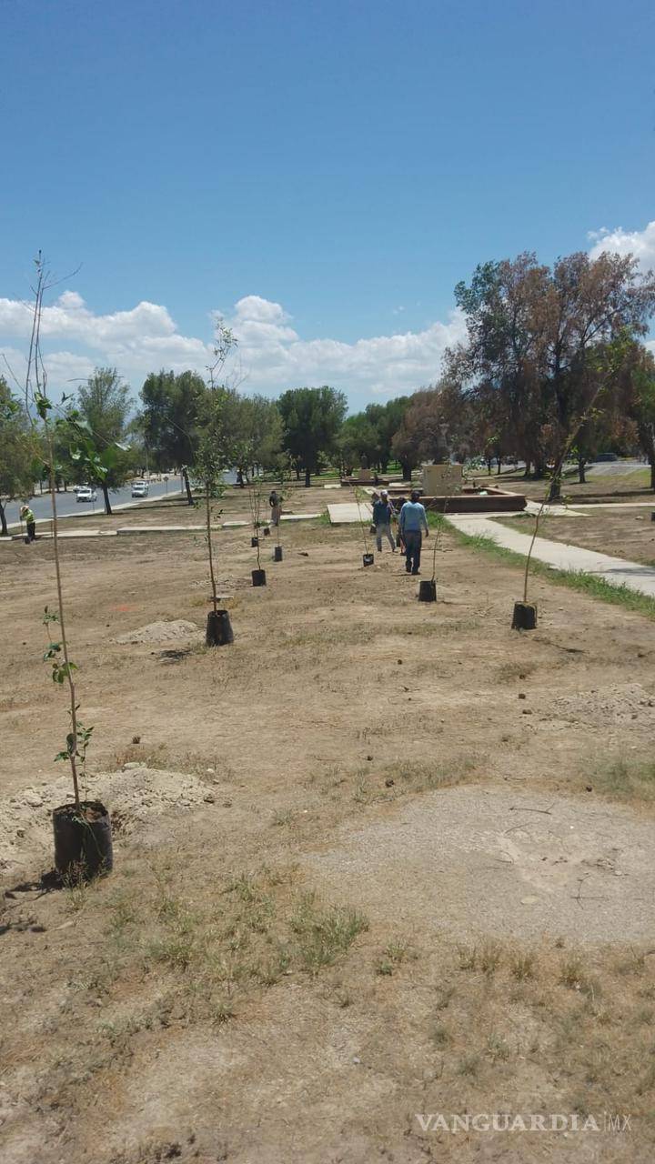 $!Paseo de la Reforma, uno de los pulmones verdes de la ciudad, contará con nuevos árboles en sus jardines.