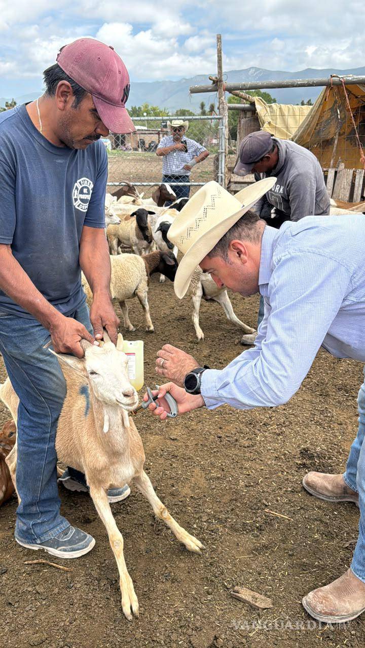 $!La estrategia tiene como objetivo fortalecer la actividad productiva y apoyar a las y los ganaderos de Saltillo.