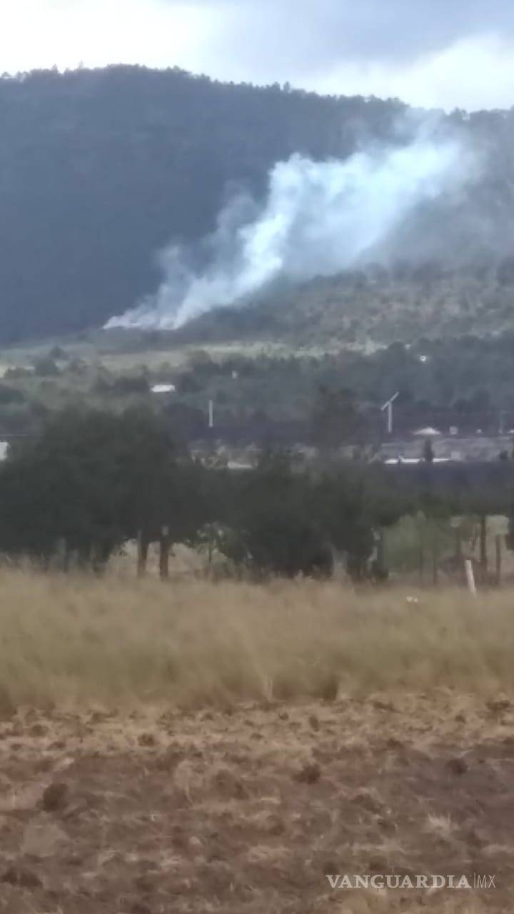 $!Se registra incendio en ejido El Tunal, en Arteaga