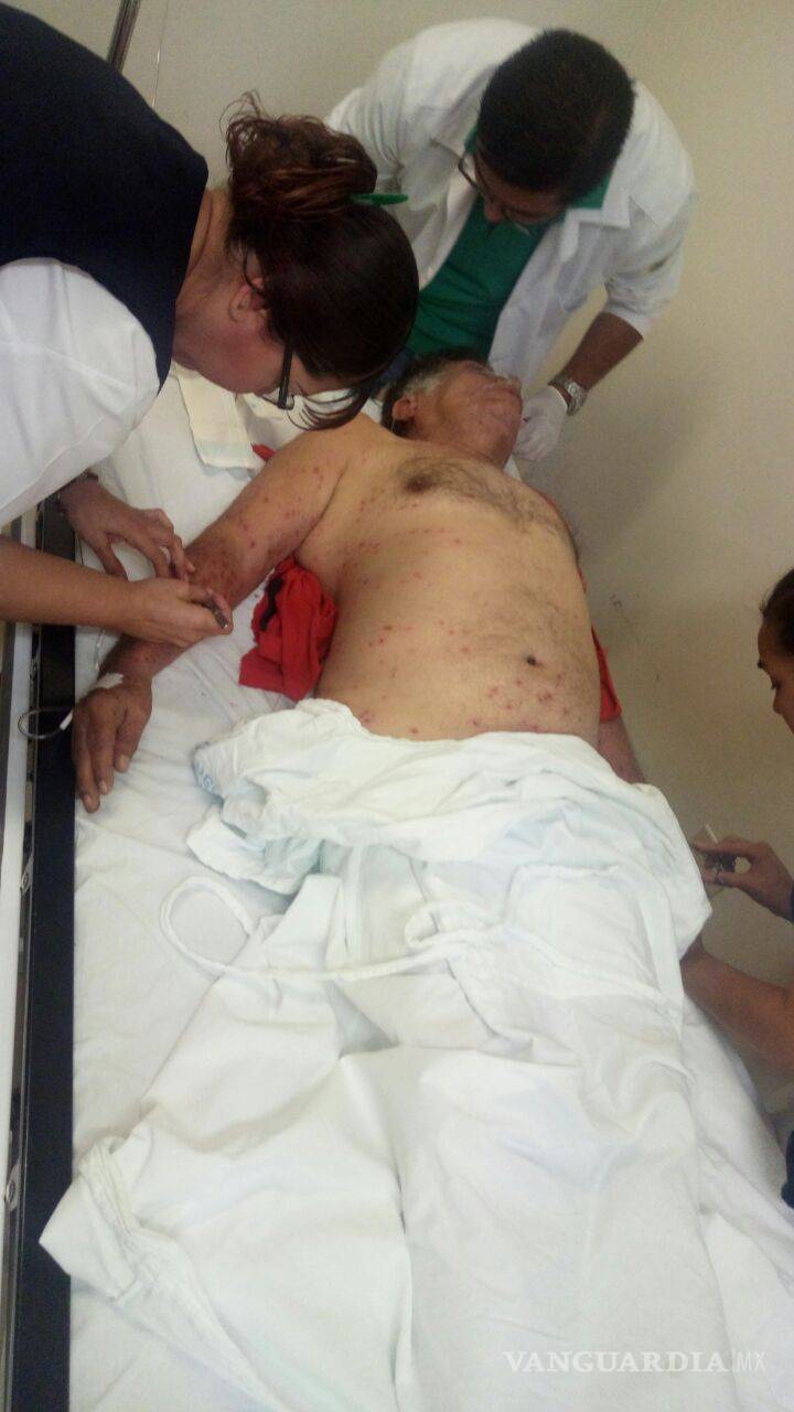 $!Enjambre ataca a familia cuando sepultaban a familiar en Parras