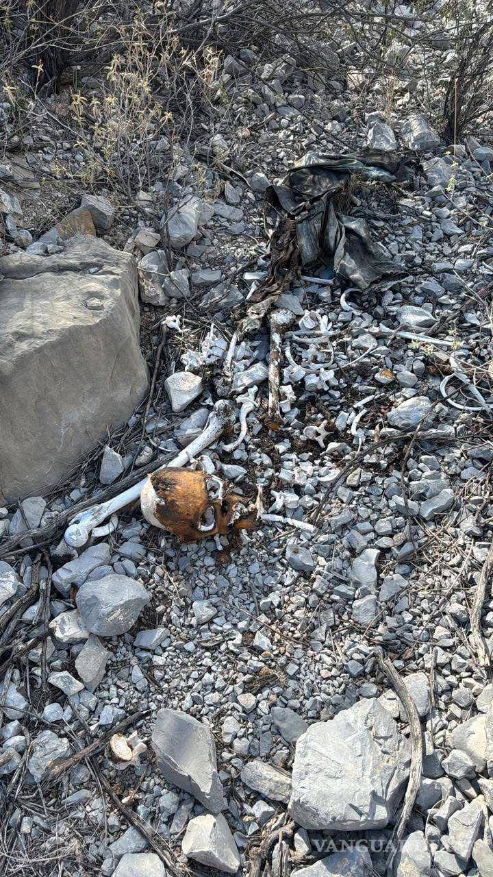 $!Los análisis permitirán cotejar los restos con registros locales y de estados vecinos.