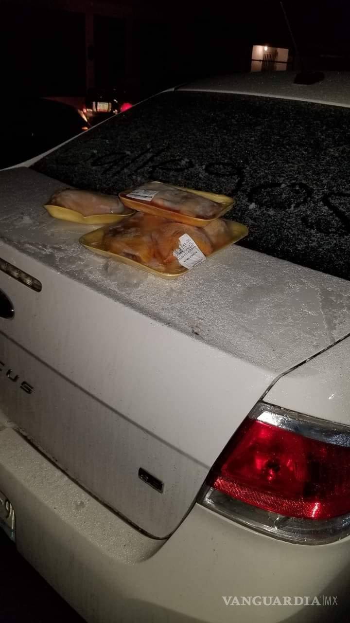 $!Los ‘osos polares’ llegan a Monclova