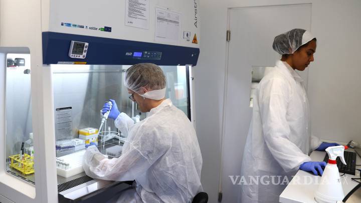 $!¿Qué es la G4 EA H1N1?... la nueva gripe porcina con 'potencial pandémico' que fue descubierta en China