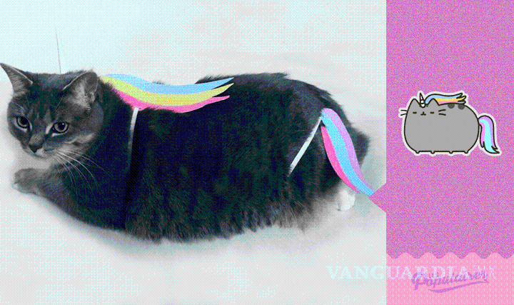 $!Canadiense recrea sticker de Facebook con su gata