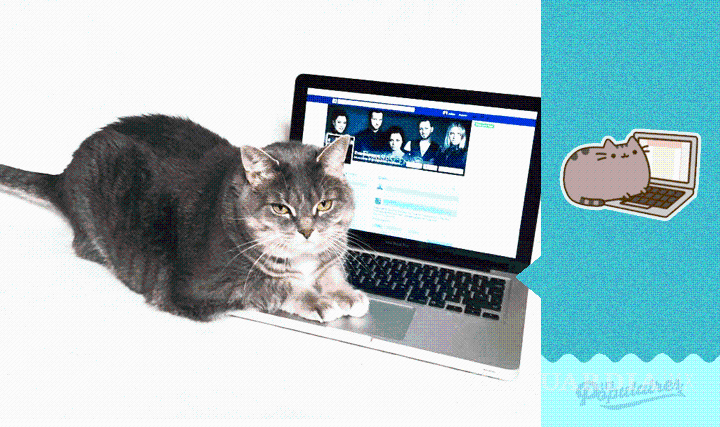 $!Canadiense recrea sticker de Facebook con su gata