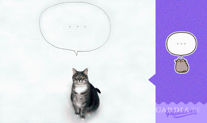 $!Canadiense recrea sticker de Facebook con su gata