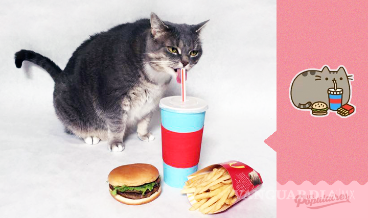 $!Canadiense recrea sticker de Facebook con su gata