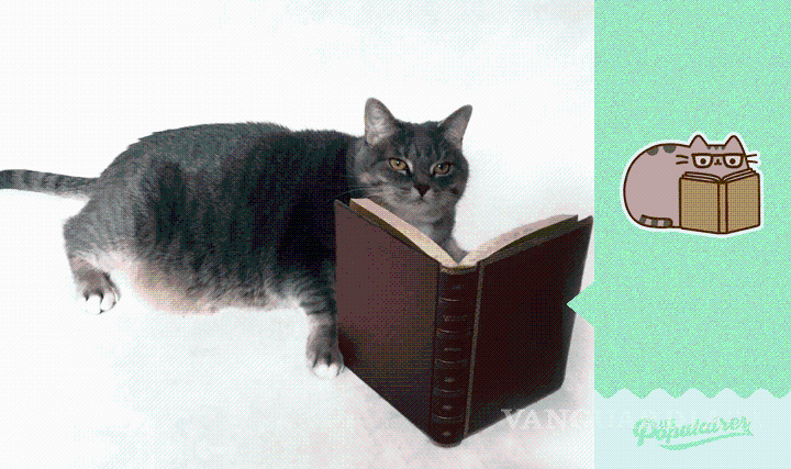 $!Canadiense recrea sticker de Facebook con su gata