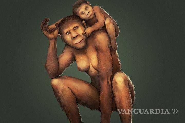 $!Las mamás Australopithecus africanus amamantaron durante el primer año de vida a sus hijos, según un estudio
