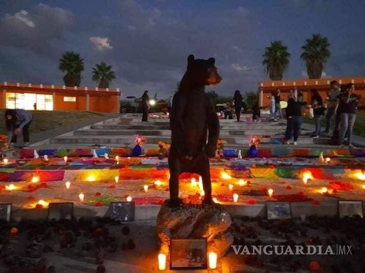 $!Los asistentes podrán colocar fotografías de sus mascotas en el altar, recordando los momentos felices compartidos.