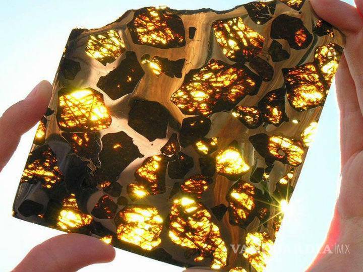 Especial negocio de venta de meteoritos en la CDMX