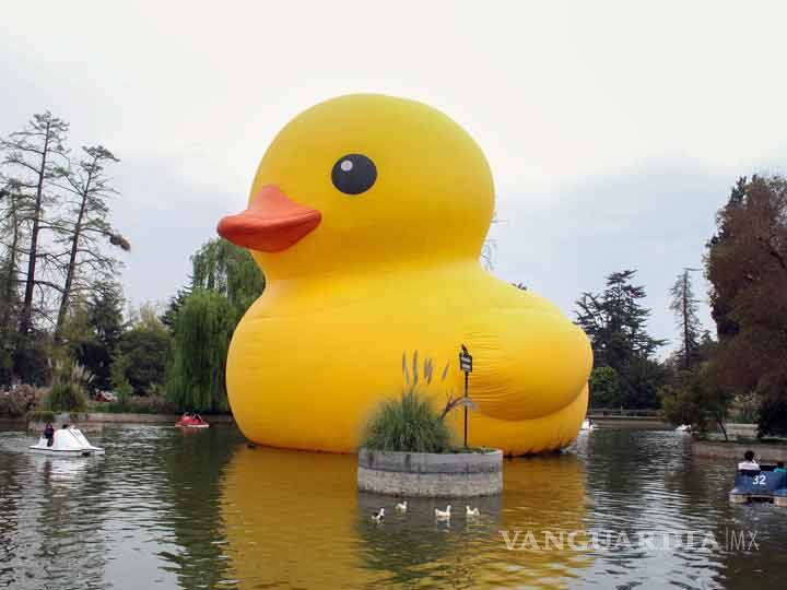 $!'Patito de hule' gigante sorprende en lago chileno