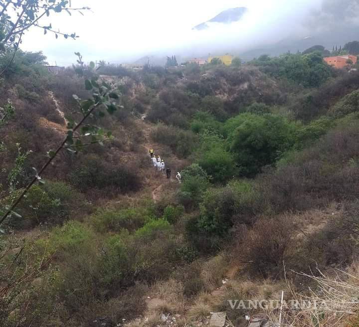 $!Una colona de Lomas de Lourdes reportó el hallazgo de un cuerpo colgando de un árbol ubicado en el arroyo de dicha colonia.