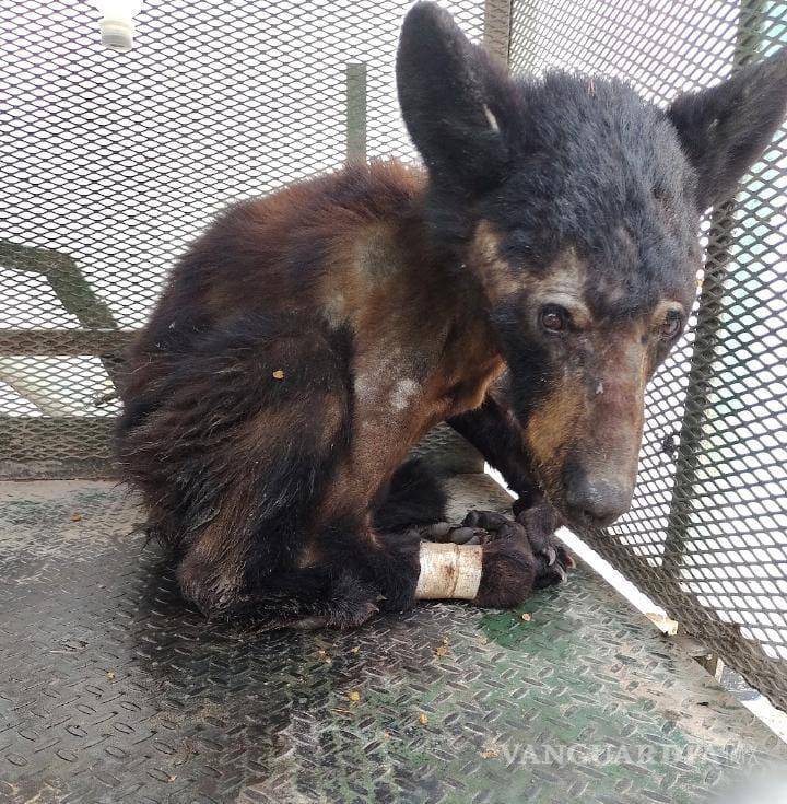 $!“Lucy” fue liberada luego de mes y medio de su rescate.