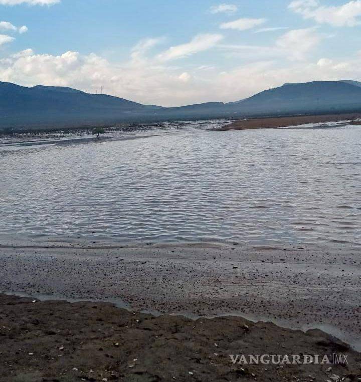 $!Hay planes para llevar a cabo 36 trabajos más de desazolve en el próximo año, asegurando un suministro constante de agua para el ganado en estas áreas rurales.