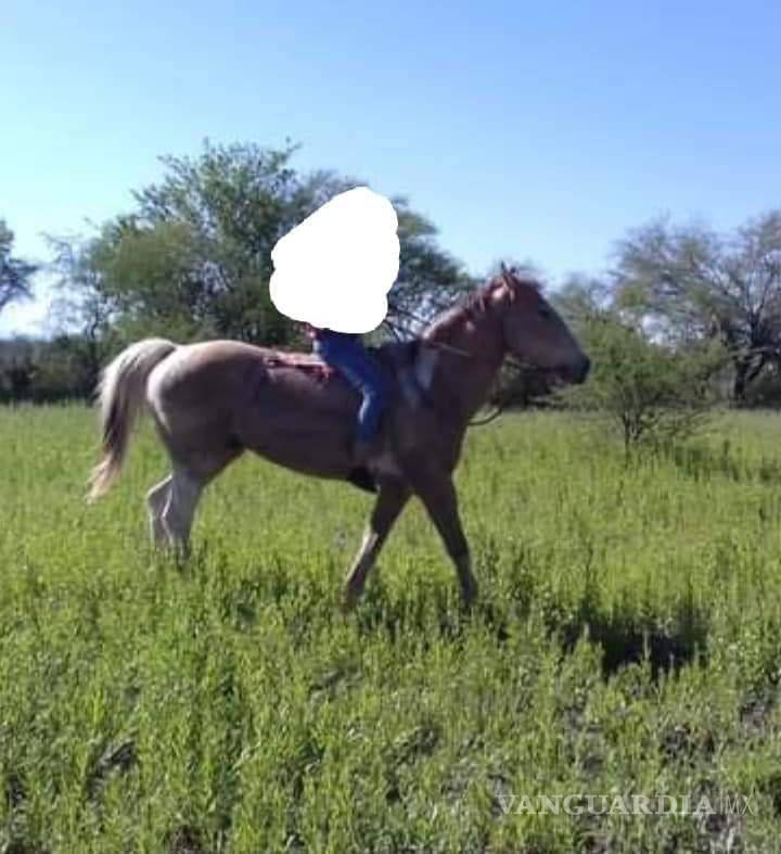 $!La familia está dispuesta a entregar una gratificación a quien proporcione información verídica.