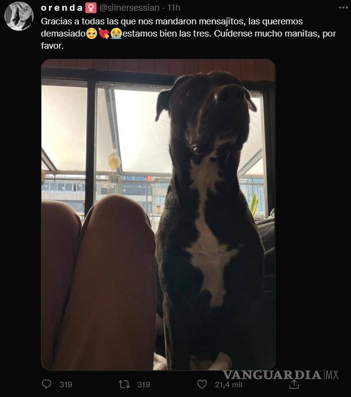 $!Ella es Ofelia, la perrita que salvó a su dueña de un asalto en la CDMX