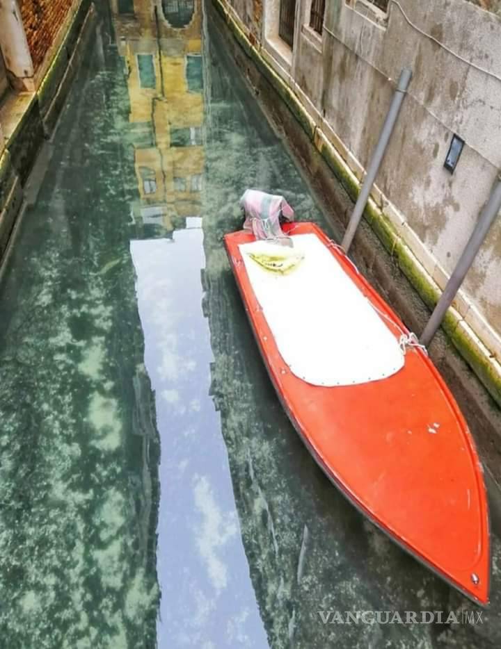 $!Hoy es el Día de la Tierra: Pandemia, ‘un respiro’ para el planeta