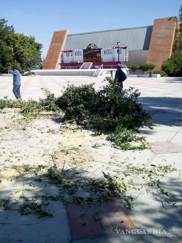 $!Indignación en Parras de la Fuente por tala de árboles para concierto de Los Ángeles Azules