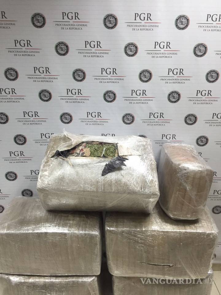 $!PGR incauta 80 kilos de mariguana en Nuevo León