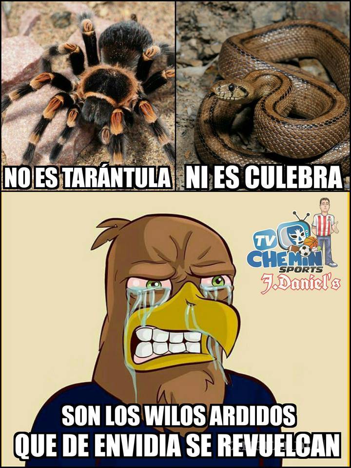 $!Los memes de la victoria de Chivas en la Concachampions