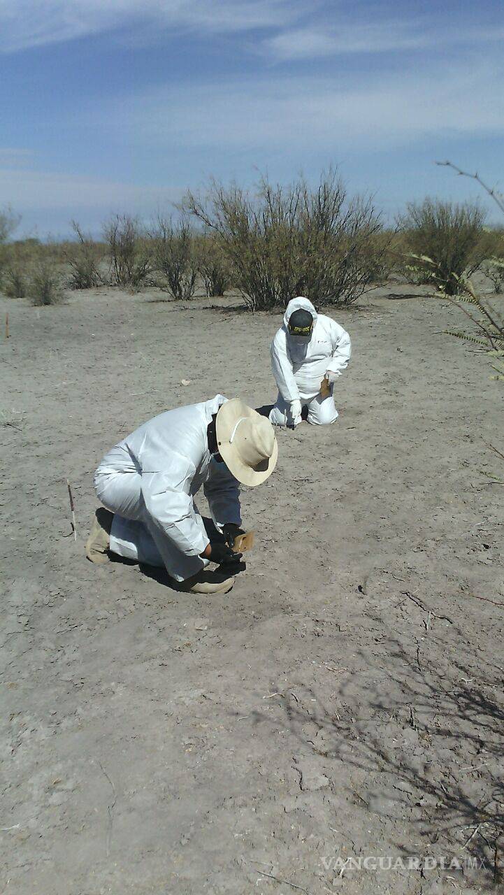 $!Molesto Grupo Vida, porque Coahuila retrasa búsqueda de restos
