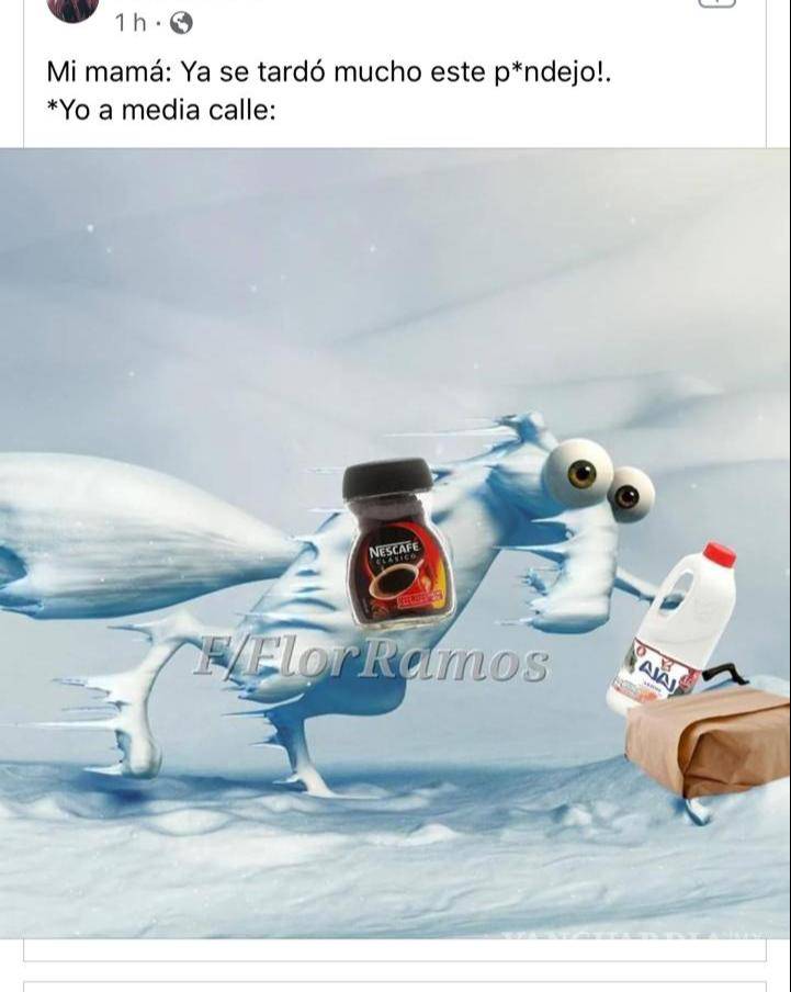 $!Los ‘osos polares’ llegan a Monclova