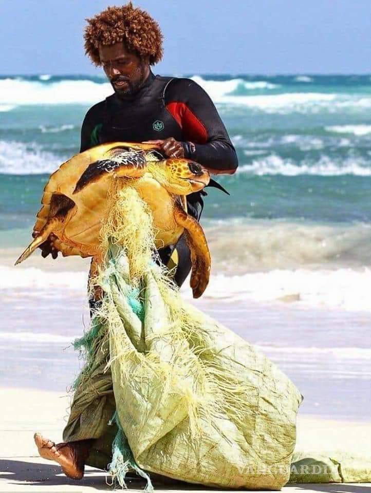 $!Más plástico que peces en el mar, predicción para el 2050