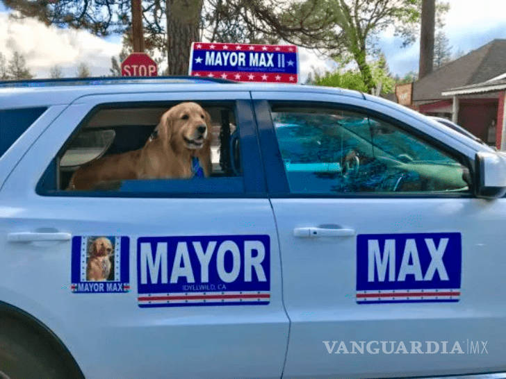 $!Perro gana elecciones y es nombrado alcalde canino