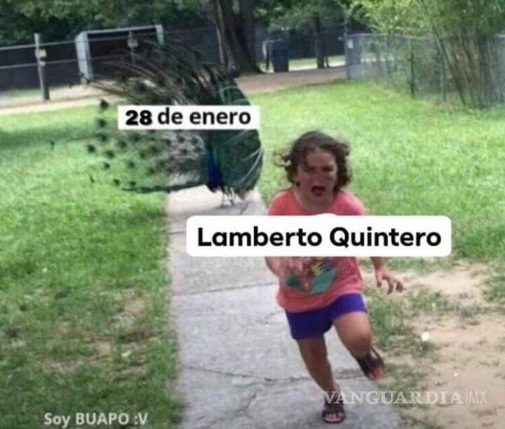 $!'Un día 28 de enero'... Los memes de Lamberto Quintero (fotos)