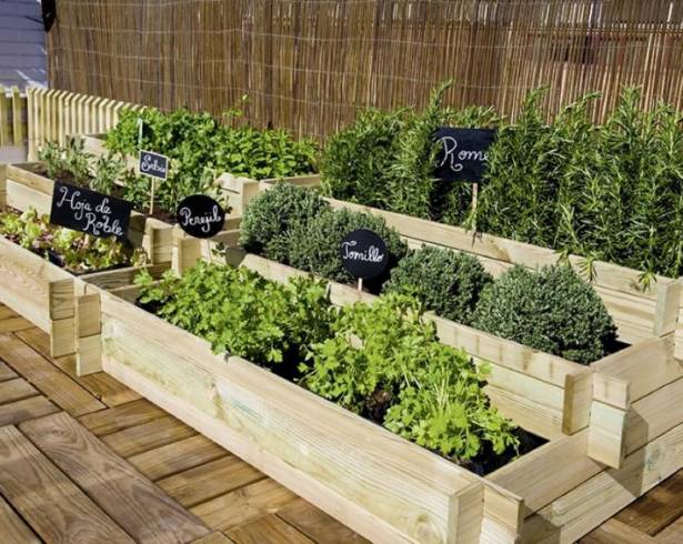 Fue uno de los proyectos ganadores de la convocatoria del FONCYT tras un proceso de evaluación técnica.