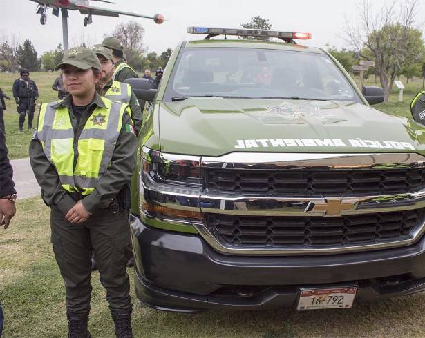 La Policía Ambiental de Saltillo pidió a los dueños de mascotas dejar a sus animales bajo el cuidado de personas responsables durante las vacaciones.