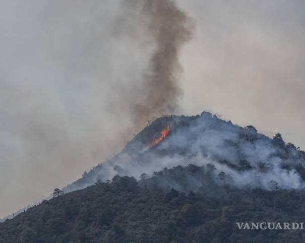 Las condiciones que han prevalecido en este 2025 generan una alerta por posibles incendios forestales en pleno invierno.
