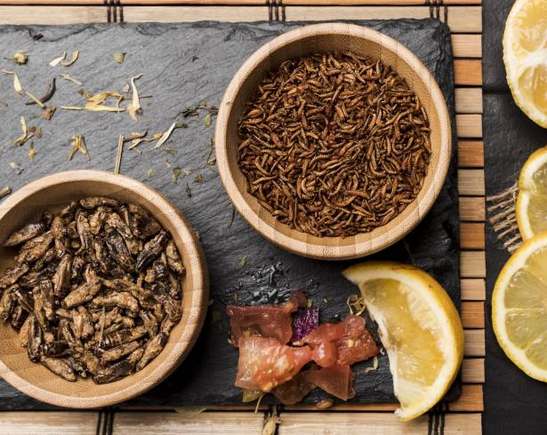 Además de su particular sabor y textura, los chapulines aportan proteínas, minerales y otros nutrientes.