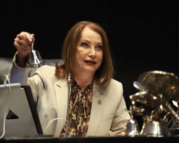 ”Sí, en la plenaria vamos a participar y a votar por el nuevo o la nueva presidenta”, aseguró al ser cuestionada sobre el tema.