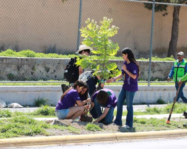 Cerca de 300 estudiantes de secundaria participaron en las labores de reforestación junto con brigadas de la Dirección de Medio Ambiente y Desarrollo Sustentable, según se informó.
