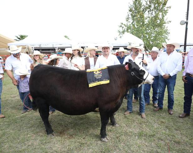 Autoridades estatales anuncian programa para fortalecer la calidad del hato ganadero.