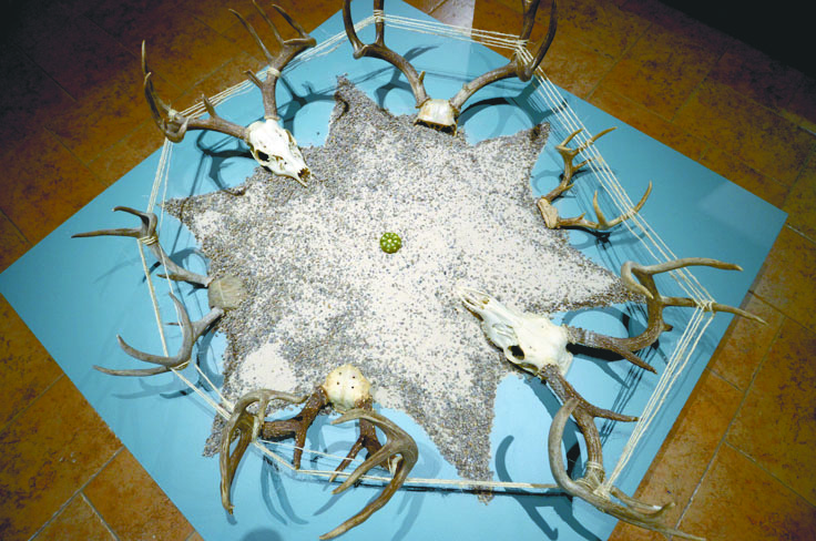 $!El peyote: Descubre la magia de una planta sagrada