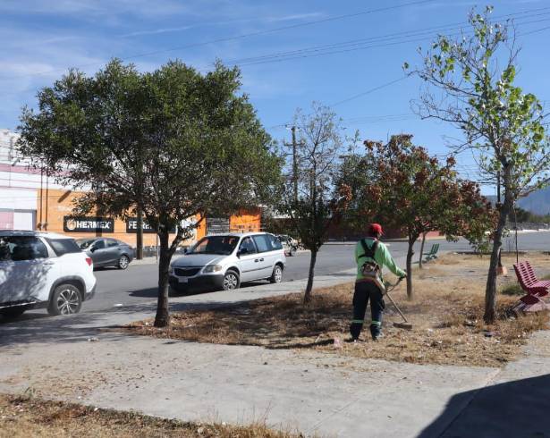 Cuadrillas municipales despejaron camellones en bulevares como Otilio Zurdo Galván.