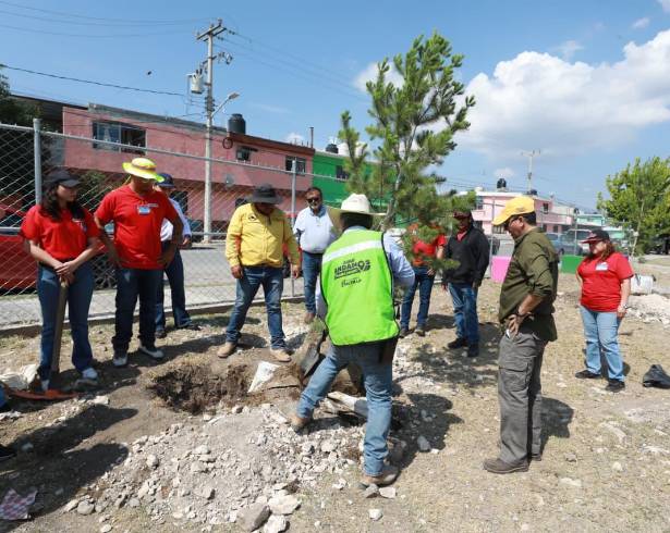Personal del Gobierno de Saltillo y H-E-B participó en la reforestación de una plaza de Colinas del Sur.