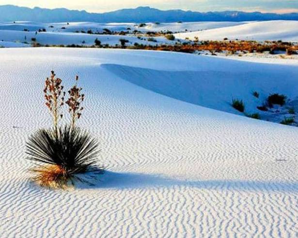 Señalización y medidas de cuidado ambiental se mantienen en los parques, equilibrando turismo y conservación de la flora y fauna local.