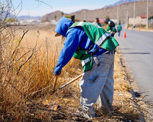 Las jornadas de descacharrización y deshierbe permiten prevenir riesgos sanitarios y recuperar espacios públicos para la convivencia familiar.
