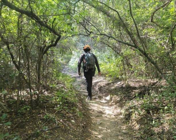 Autoridades estatales recomiendan no acercarse a estos animales, mantener la calma y reportar cualquier encuentro al número de emergencias 911.