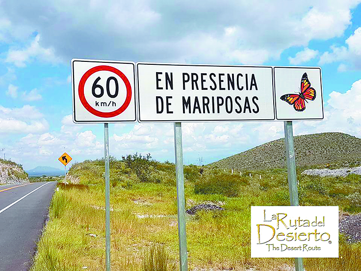 $!'Construyen' en Saltillo santuario para la mariposa monarca